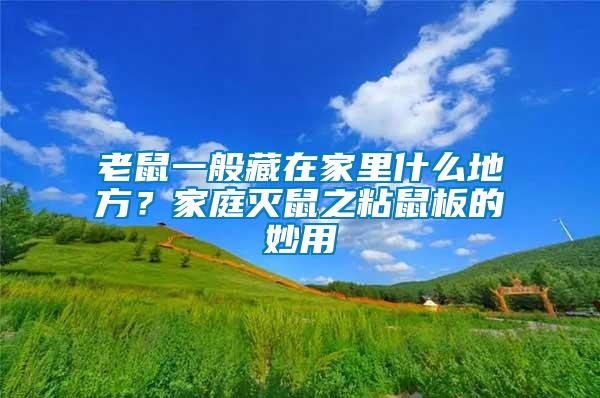 老鼠一般藏在家里什么地方？家庭滅鼠之粘鼠板的妙用