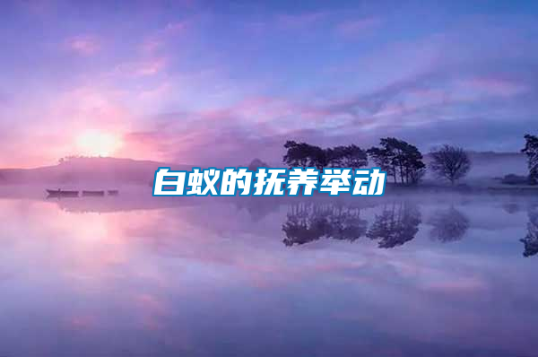 白蟻的撫養(yǎng)舉動(dòng)