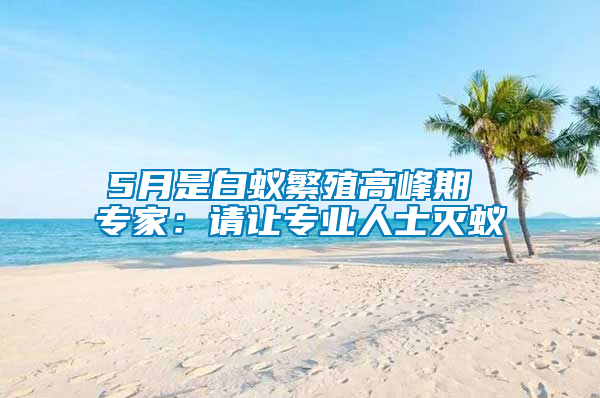 5月是白蟻繁殖高峰期 專家：請讓專業(yè)人士滅蟻