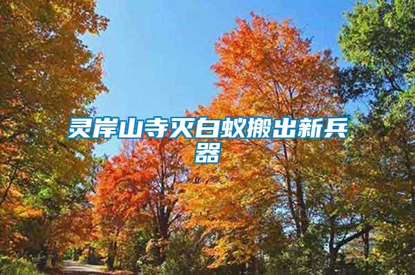 靈岸山寺滅白蟻搬出新兵器