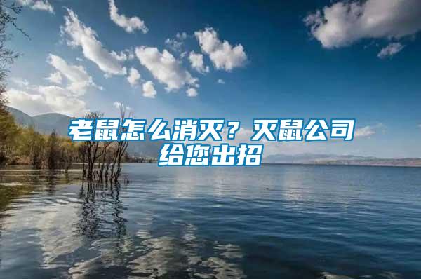 老鼠怎么消滅？滅鼠公司給您出招