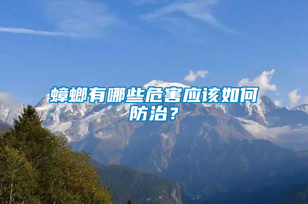 蟑螂有哪些危害應(yīng)該如何防治？