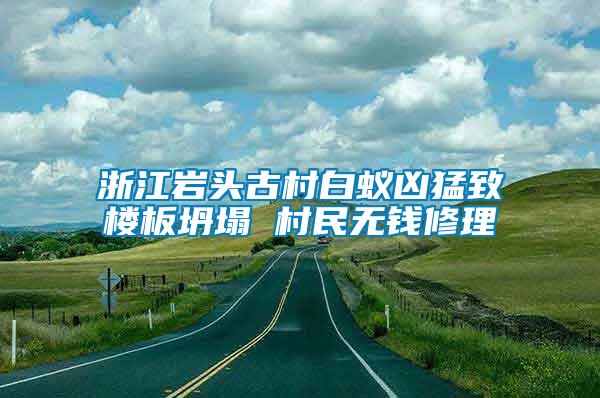 浙江巖頭古村白蟻兇猛致樓板坍塌 村民無(wú)錢修理