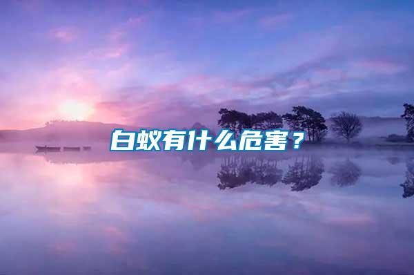 白蟻有什么危害？