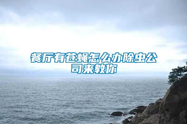 餐廳有蒼蠅怎么辦除蟲公司來教你