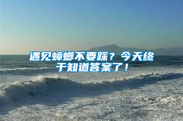 遇見蟑螂不要踩？今天終于知道答案了！