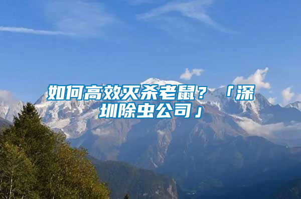 如何高效滅殺老鼠？「深圳除蟲公司」