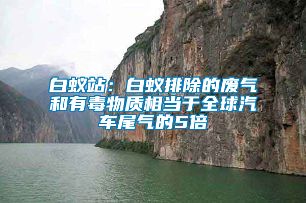 白蟻站：白蟻排除的廢氣和有毒物質相當于全球汽車尾氣的5倍