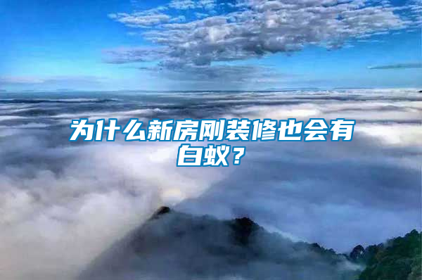 為什么新房剛裝修也會(huì)有白蟻？