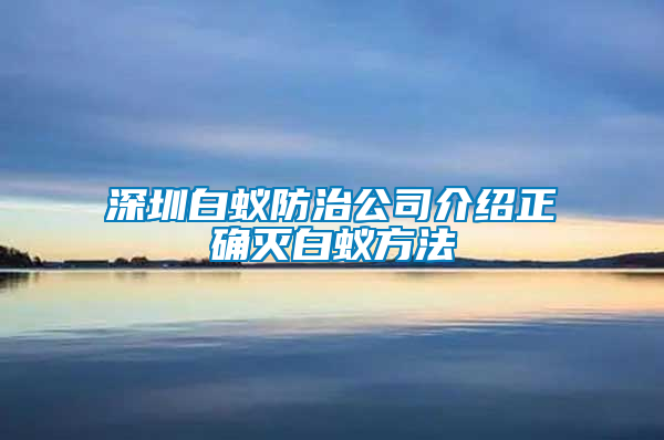 深圳白蟻防治公司介紹正確滅白蟻方法