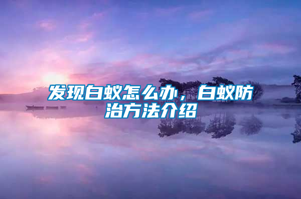 發(fā)現(xiàn)白蟻怎么辦，白蟻防治方法介紹