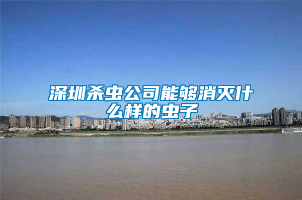 深圳殺蟲公司能夠消滅什么樣的蟲子