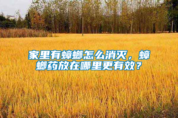 家里有蟑螂怎么消滅，蟑螂藥放在哪里更有效？