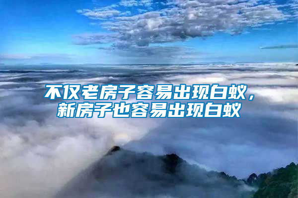 不僅老房子容易出現(xiàn)白蟻，新房子也容易出現(xiàn)白蟻