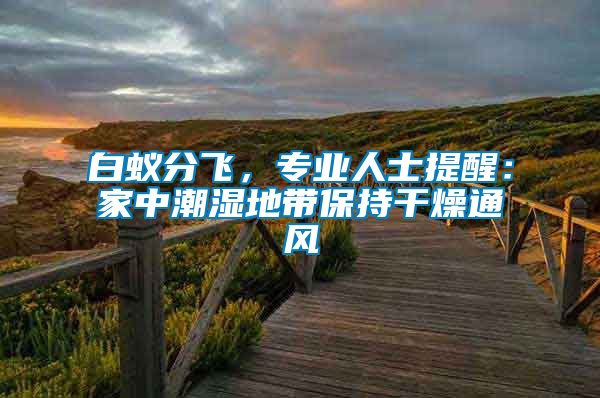 白蟻分飛，專業(yè)人士提醒：家中潮濕地帶保持干燥通風