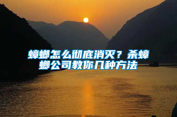 蟑螂怎么徹底消滅？殺蟑螂公司教你幾種方法