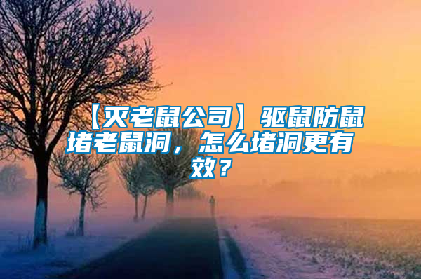 【滅老鼠公司】驅(qū)鼠防鼠堵老鼠洞，怎么堵洞更有效？