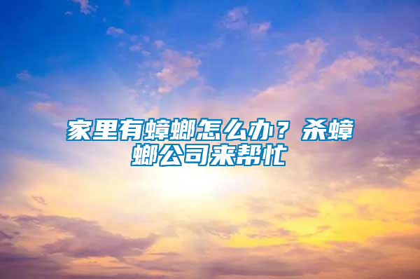 家里有蟑螂怎么辦？殺蟑螂公司來幫忙