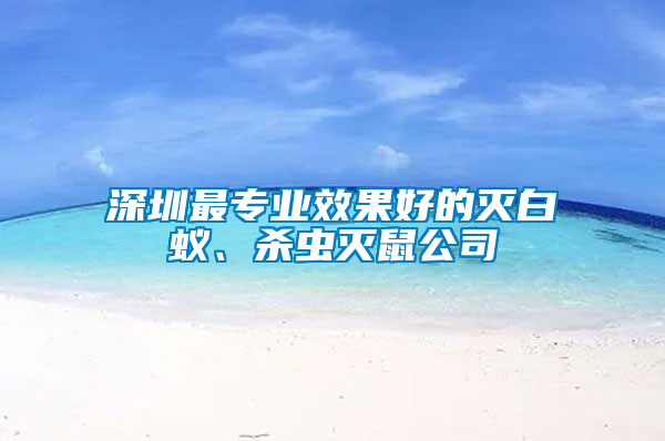 深圳最專業(yè)效果好的滅白蟻、殺蟲滅鼠公司