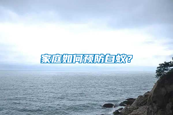 家庭如何預防白蟻？