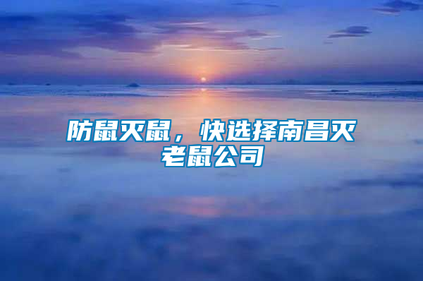 防鼠滅鼠，快選擇南昌滅老鼠公司