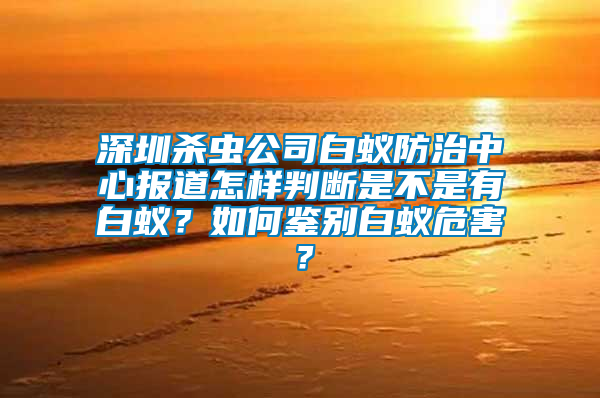 深圳殺蟲公司白蟻防治中心報道怎樣判斷是不是有白蟻？如何鑒別白蟻危害？