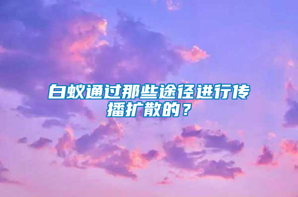 白蟻通過那些途徑進行傳播擴散的？