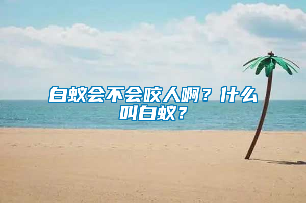 白蟻會不會咬人?。渴裁唇邪紫?？