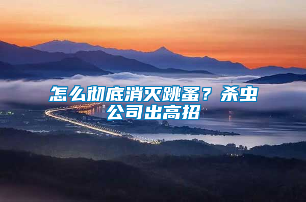 怎么徹底消滅跳蚤？殺蟲公司出高招