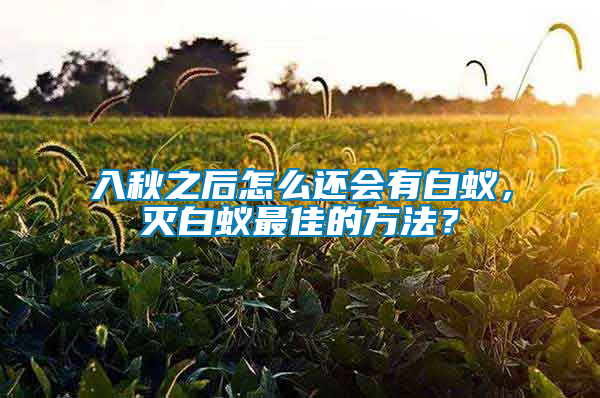 入秋之后怎么還會(huì)有白蟻，滅白蟻?zhàn)罴训姆椒ǎ?/></p>
             <p style=