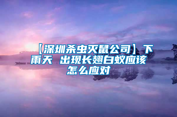 【深圳殺蟲滅鼠公司】下雨天 出現長翅白蟻應該怎么應對