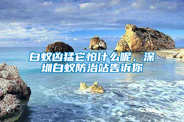 白蟻兇猛它怕什么呢，深圳白蟻防治站告訴你