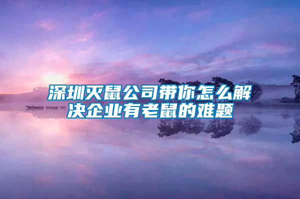 深圳滅鼠公司帶你怎么解決企業(yè)有老鼠的難題