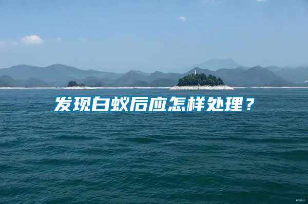 發(fā)現(xiàn)白蟻后應怎樣處理？