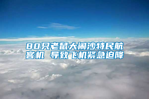 80只老鼠大鬧沙特民航客機 導致飛機緊急迫降