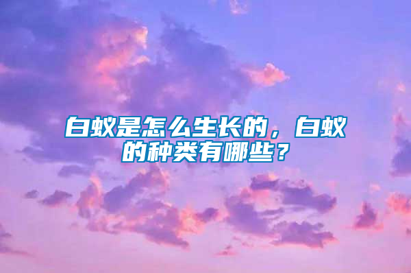 白蟻是怎么生長(zhǎng)的，白蟻的種類(lèi)有哪些？