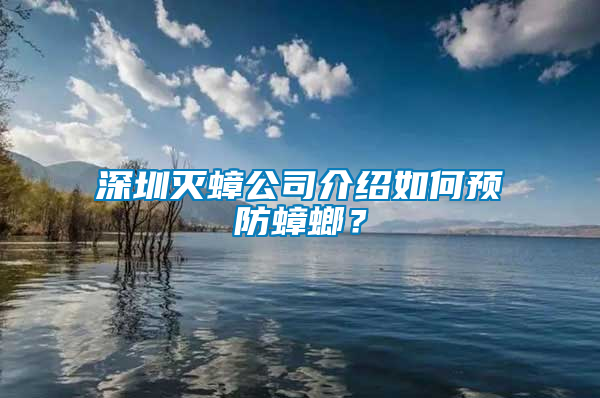 深圳滅蟑公司介紹如何預(yù)防蟑螂？