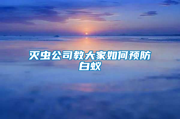 滅蟲公司教大家如何預(yù)防白蟻