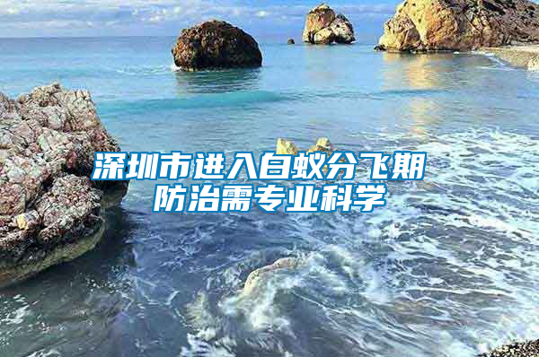 深圳市進(jìn)入白蟻分飛期 防治需專業(yè)科學(xué)