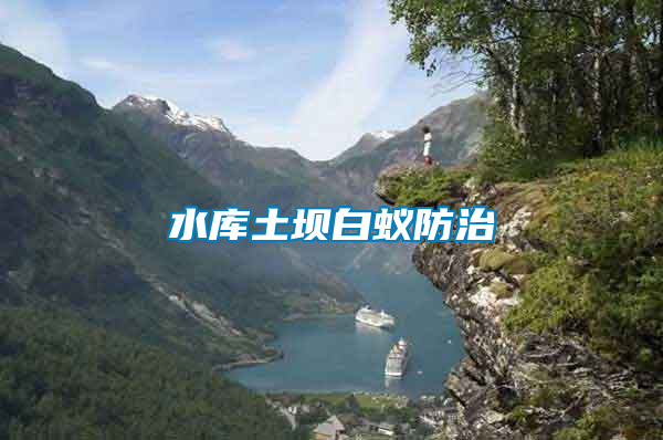 水庫土壩白蟻防治