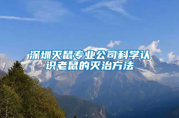 深圳滅鼠專業(yè)公司科學認識老鼠的滅治方法