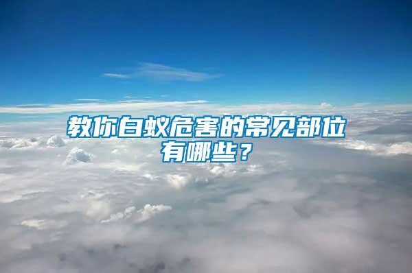 教你白蟻危害的常見(jiàn)部位有哪些？