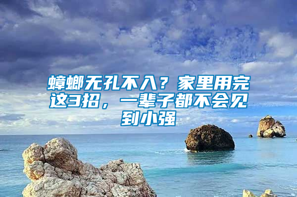 蟑螂無孔不入？家里用完這3招，一輩子都不會見到小強