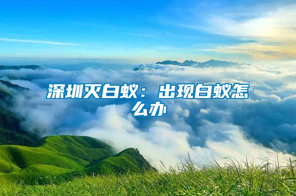 深圳滅白蟻：出現白蟻怎么辦