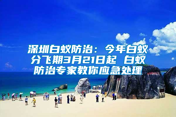 深圳白蟻防治：今年白蟻分飛期3月21日起 白蟻防治專家教你應急處理