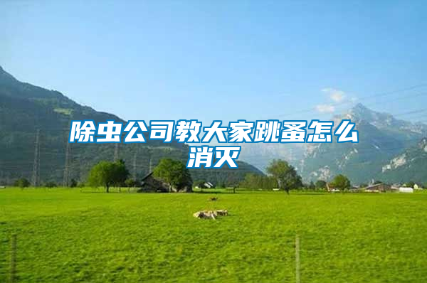 除蟲(chóng)公司教大家跳蚤怎么消滅