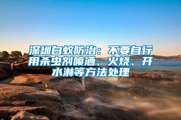 深圳白蟻防治：不要自行用殺蟲劑噴灑、火燒、開水淋等方法處理