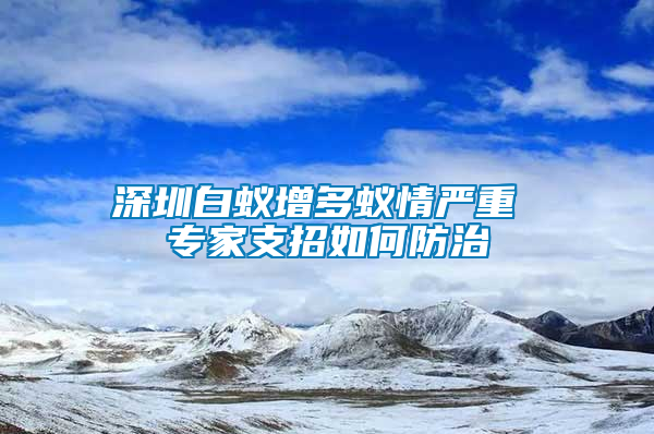 深圳白蟻增多蟻情嚴(yán)重 專家支招如何防治