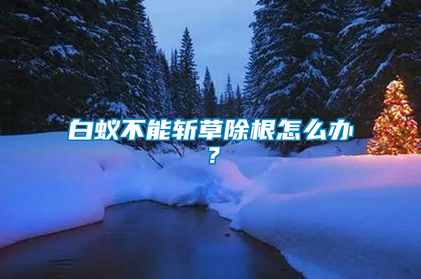 白蟻不能斬草除根怎么辦？