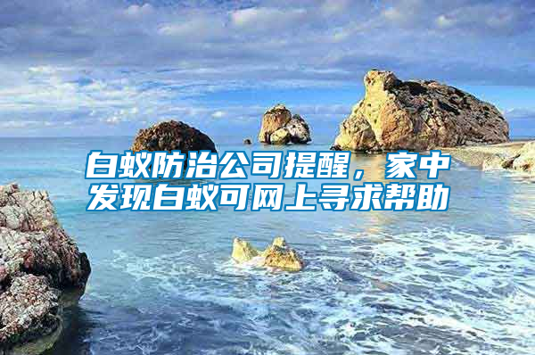 白蟻防治公司提醒，家中發(fā)現(xiàn)白蟻可網(wǎng)上尋求幫助